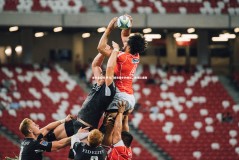 金年会官网-罗马门将连续扑救精彩，助球队连胜